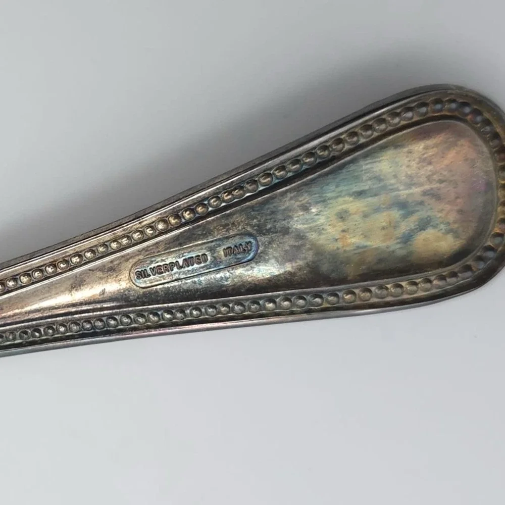 Vintage Silverplated ITALY Cake Trowel Antique WORTHY MATRON 1982‎ Paisley